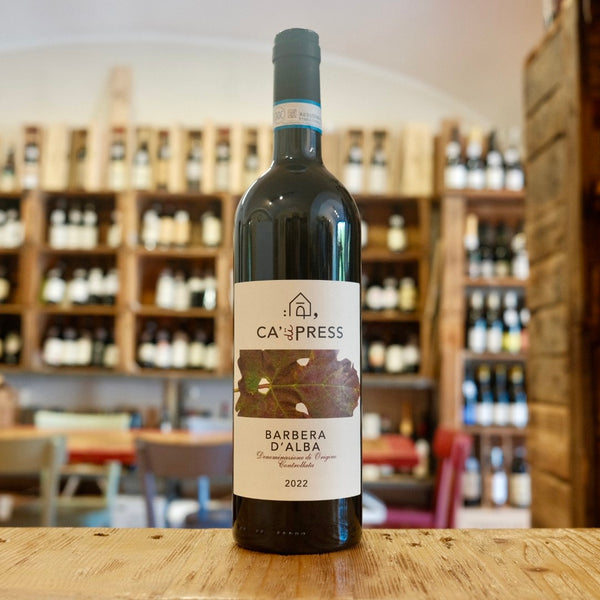 Vini di Alba